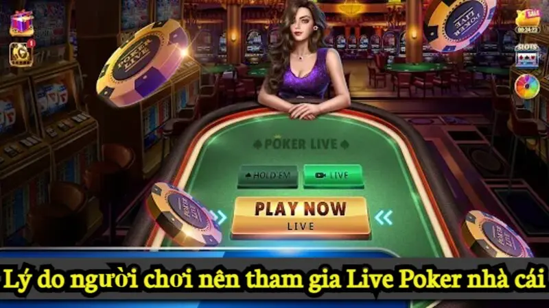 Lý do nên tham gia live Poker tại nhà cái cá cược Alo789 5 Lý do người chơi nên tham gia Live Poker nhà cái