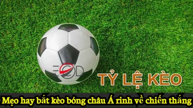 Tìm hiểu về kèo bóng châu Á và những mẹo bắt kèo hay 5 Mẹo hay bắt kèo bóng châu Á rinh về chiến thắng