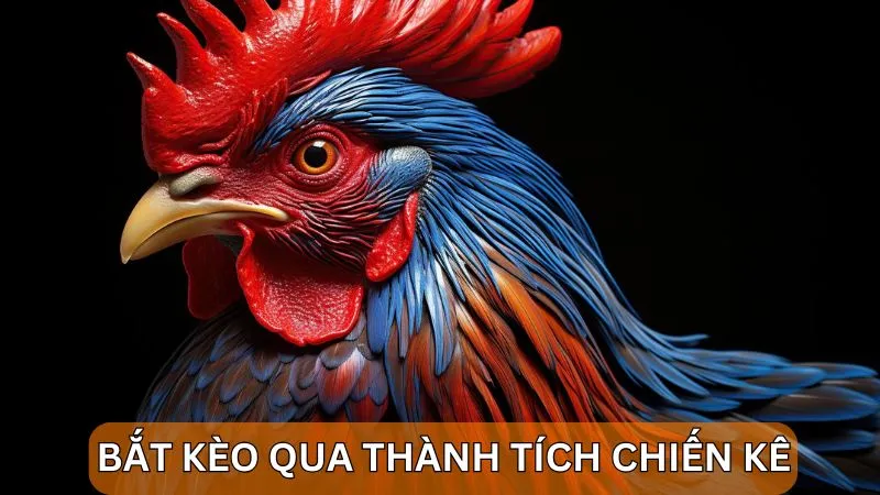 Cách bắt kèo đá gà Alo789: Kinh nghiệm từ cao thủ lâu năm 6 Cách bắt kèo đá gà thông qua thành tích chiến kê