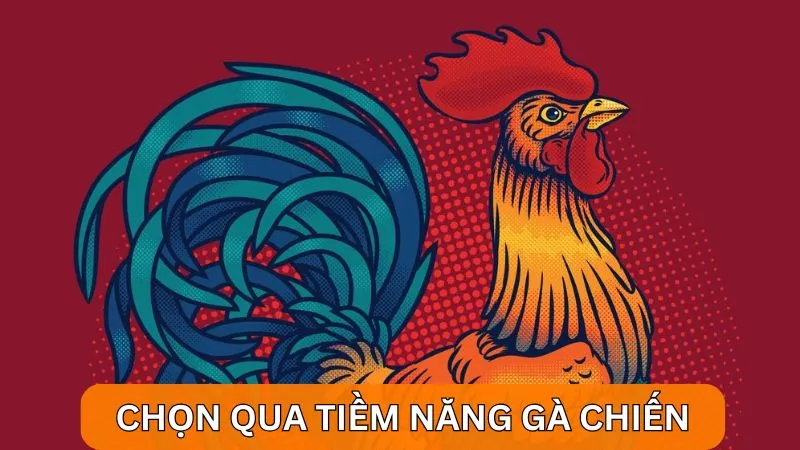 Cách bắt kèo đá gà Alo789: Kinh nghiệm từ cao thủ lâu năm 5 Chọn kèo cược gà thông qua phân tích tiềm năng gà chiến