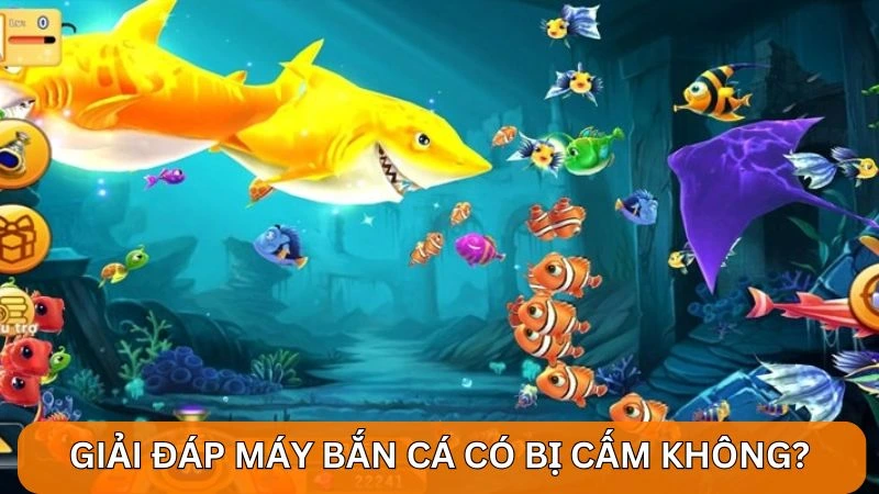 Máy bắn cá có bị cấm không? Chơi bắn cá uy tín tại Alo789 3 Giải đáp về thắc mắc máy bắn cá có bị cấm không?