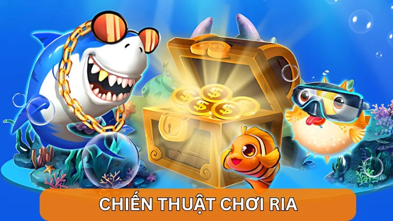 4 Cách chơi bắn cá ở siêu thị biến bạn thành cao thủ săn xu 6 Gợi ý cách bắn cá ở siêu thị bằng chiến thuật chơi ria