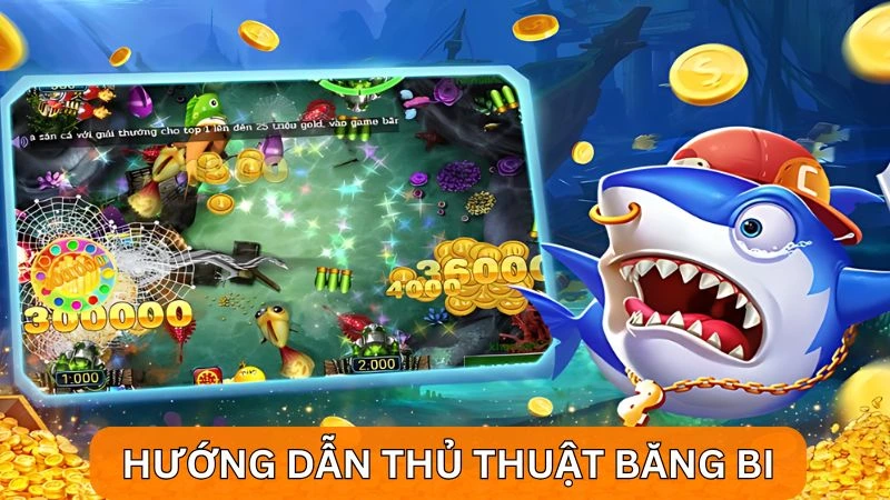 4 Cách chơi bắn cá ở siêu thị biến bạn thành cao thủ săn xu 5 Hướng dẫn thủ thuật băng bi khi bắn cá siêu thị
