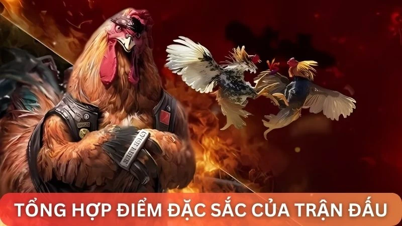 Khám phá buổi trực tiếp trận đá gà 24 tỷ cùng Alo789 6 Tổng hợp điểm đặc sắc của trận đánh “vô tiền khoáng hậu"